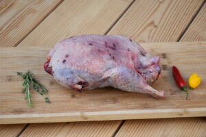 Hele wilde bosdok panklaar